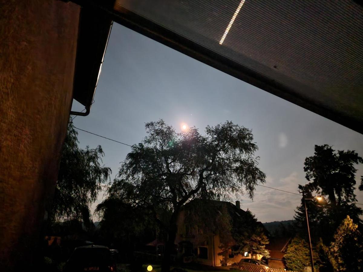 Penzion U Jezevce Hřensko Buitenkant foto